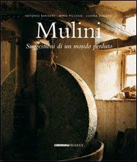 Mulini. Suggestioni di un mondo perduto. Ediz. illustrata - Antonio Barisani, Mino Piccolo, Liliana Ruggeri - Libro Cremona Produce 2005 | Libraccio.it