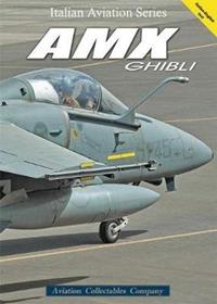 F-16A Air defence fighter - Federico Anselmino, Mauro Cini, Claudio Col - Libro Aviation Collectables Company 2011, Italian Aviation Series | Libraccio.it