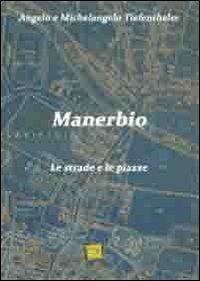 Manerbio. Le strade e le piazze - Angelo Tiefenthaler, Michelangelo Tiefenthaler - Libro Edizioni La Pianura 2013 | Libraccio.it