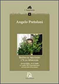 Sotto il selciato c'è la spiaggia. 23 XII 2008-9 VI 2009, le prime 163 performance attraverso facebook - Angelo Pretolani - Libro Fiorina 2011, I sanpietrini | Libraccio.it