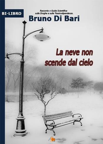 La neve non scende dal cielo - Bruno Di Bari - Libro DB3 Italia 2011 | Libraccio.it