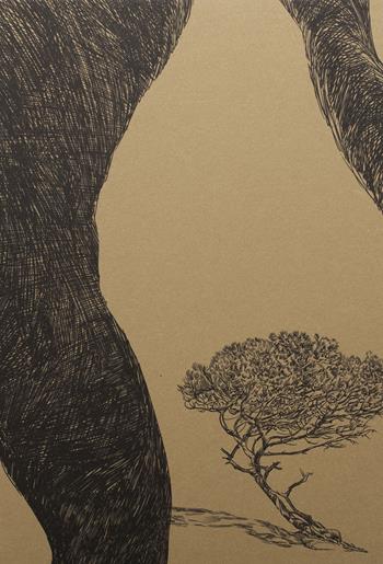 All'ombra di un pino. Ediz. illustrata - Stefano Vigni, Massimo Agus - Libro Seipersei 2015 | Libraccio.it