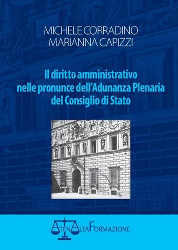 Il diritto amministrativo nelle pronunce dell'Adunanza Plenaria del Condiglio di Stato - Michele Corradino, Marianna Capizzi - Libro Atena Alta formazione 2014 | Libraccio.it