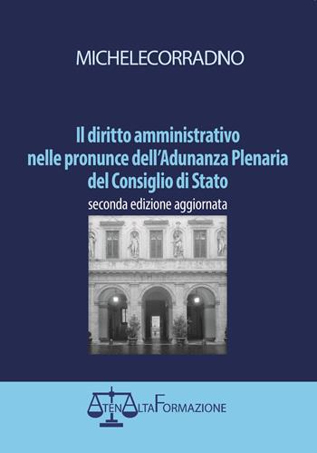 Il diritto amministrativo nelle pronunce dell'Adunanza Plenaria del Consiglio di Stato - Michele Corradino - Libro Atena Alta formazione 2015 | Libraccio.it