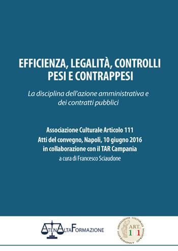 Efficienza, legalità, controlli, pesi e contrappesi. La disciplina dell'azione amministrativa e dei contratti pubblici. Associazione culturale articolo 111. Atti del Convegno (Napoli, 10 giugno 2016)  - Libro Atena Alta formazione 2017 | Libraccio.it