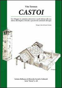 Castoi. Un villaggio in cammino attraverso i secoli attorno alla sua chiesa... - Vito Tormen - Libro Ist. Bellunese Ricerche Soc. 2012, Serie storia | Libraccio.it