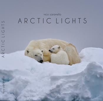 Artic lights. Ediz. illustrata - Nico Zaramella - Libro Nico Zaramella 2015 | Libraccio.it
