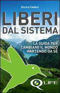 Q life. Liberi dal sistema. La guida per cambiare il mondo partendo da sè - Enrico Caldari - Libro Q Institute 2014 | Libraccio.it
