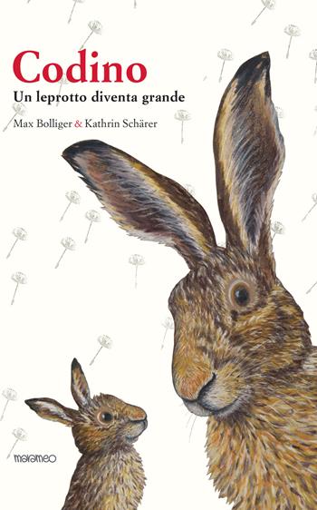 Codino. Un leprotto diventa grande - Max Bolliger - Libro Marameo 2018 | Libraccio.it