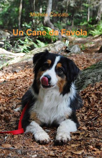 Un cane da favola - Michele Caricato - Libro ilmiolibro self publishing 2012, La community di ilmiolibro.it | Libraccio.it