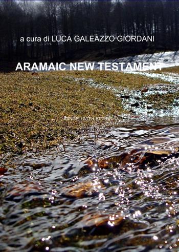 Nuovo testamento ebraico-francese  - Libro ilmiolibro self publishing 2012, La community di ilmiolibro.it | Libraccio.it