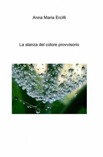 La stanza del colore provvisorio - Anna Maria Ercilli - Libro ilmiolibro self publishing 2013, La community di ilmiolibro.it | Libraccio.it