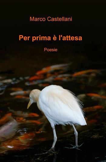 Per prima è l'attesa - Marco Castellani - Libro ilmiolibro self publishing 2011, La community di ilmiolibro.it | Libraccio.it
