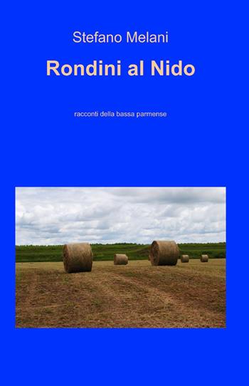 Rondini al nido - Stefano Melani - Libro ilmiolibro self publishing 2013, La community di ilmiolibro.it | Libraccio.it