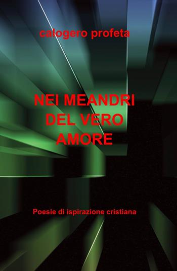 Nei meandri del vero amore - Calogero Profeta - Libro ilmiolibro self publishing 2013, La community di ilmiolibro.it | Libraccio.it