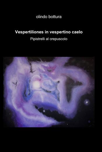Vespertiliones in vespertino caelo - Olindo Bottura - Libro ilmiolibro self publishing 2011, La community di ilmiolibro.it | Libraccio.it