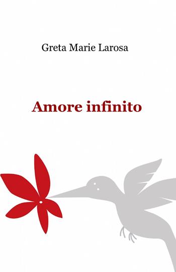 Amore infinito - Greta M. Larosa - Libro ilmiolibro self publishing 2013, La community di ilmiolibro.it | Libraccio.it