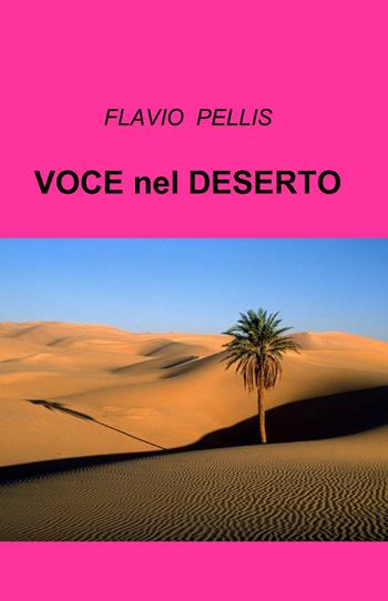Voce nel deserto - Flavio Pellis - Libro ilmiolibro self publishing 2013, La community di ilmiolibro.it | Libraccio.it