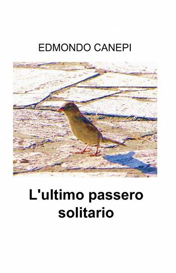 L' ultimo passero solitario - Edmondo Canepi - Libro ilmiolibro self publishing 2014, La community di ilmiolibro.it | Libraccio.it