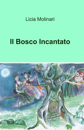 Il bosco incantato - Licia Molinari - Libro ilmiolibro self publishing 2014, La community di ilmiolibro.it | Libraccio.it