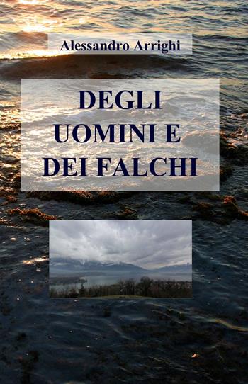 Degli uomini e dei falchi - Alessandro Arrighi - Libro ilmiolibro self publishing 2014, La community di ilmiolibro.it | Libraccio.it
