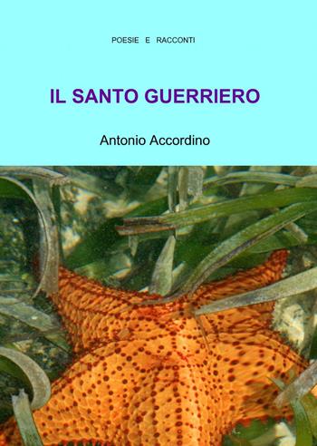 Il santo guerriero - Antonio Accordino - Libro ilmiolibro self publishing 2014, La community di ilmiolibro.it | Libraccio.it