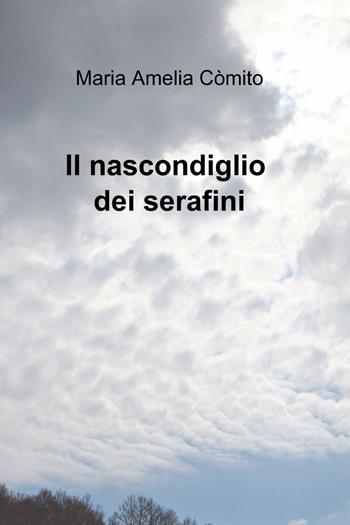 Il nascondiglio dei serafini - Maria Amelia Còmito - Libro ilmiolibro self publishing 2014, La community di ilmiolibro.it | Libraccio.it