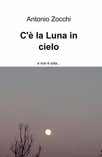 C'è la luna in cielo - Antonio Zocchi - Libro ilmiolibro self publishing 2014, La community di ilmiolibro.it | Libraccio.it