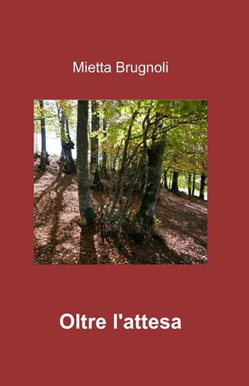 Oltre l'attesa - Mietta Brugnoli - Libro ilmiolibro self publishing 2014, La community di ilmiolibro.it | Libraccio.it