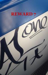 Reward 7