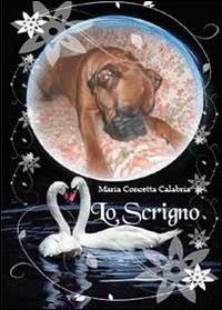 Lo scrigno - Maria Concetta Calabria - Libro Youcanprint 2013, Narrativa | Libraccio.it