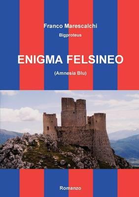 Enigma felsineo (Amnesia blu) - Franco Marescalchi - Libro Youcanprint 2014, Narrativa | Libraccio.it