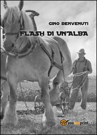Flash di un'alba - Gino Benvenuti - Libro Youcanprint 2014, Narrativa | Libraccio.it