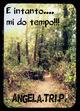 E intanto... mi do tempo - Angela Tri. P. - Libro Youcanprint 2015, Narrativa | Libraccio.it