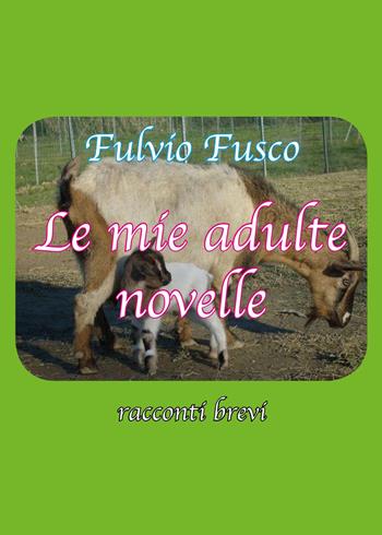 Le mie adulte novelle - Fulvio Fusco - Libro Youcanprint 2015, Narrativa | Libraccio.it