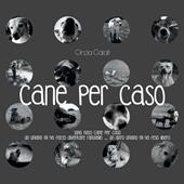 Cane per caso