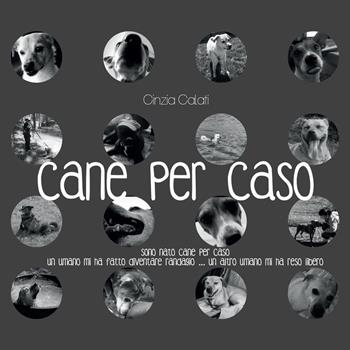 Cane per caso - Cinzia Calati - Libro Youcanprint 2015 | Libraccio.it