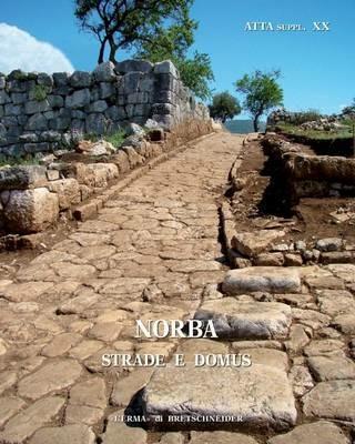 Norba. Strade e Domus - Stefania Quilici Gigli - Libro L'Erma di Bretschneider 2015, Atlante tematico di topografia antica. Supplementi | Libraccio.it