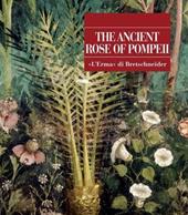 The ancient rose of Pompeii