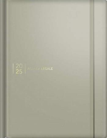 Agenda legale 2025. Ediz. silk gray. Con web app Agenda Legale Pro  - Libro Edizioni Giuridiche Simone 2024, Strumenti per la professione | Libraccio.it