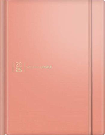 Agenda legale 2025. Ediz. silk pink. Con web app Agenda Legale Pro  - Libro Edizioni Giuridiche Simone 2024, Strumenti per la professione | Libraccio.it