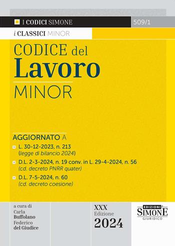 Codice del Lavoro. Ediz. minor - Federico Del Giudice - Libro Edizioni Giuridiche Simone 2024 | Libraccio.it