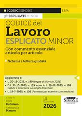 Codice del Lavoro esplicato. Commento essenziale, articolo per articolo, alle principali norme di diritto del lavoro. Minor