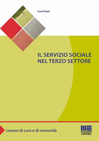 Il servizio sociale nel terzo settore - Luca Fazzi - Libro Maggioli Editore 2016, Sociale & sanità | Libraccio.it