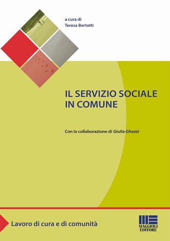 Il servizio sociale in comune - Teresa Bertotti - Libro Maggioli Editore 2016, Sociale & sanità | Libraccio.it