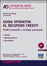 Guida operativa al recupero crediti - Maurizio De Giorgi - Libro Maggioli Editore 2016 | Libraccio.it