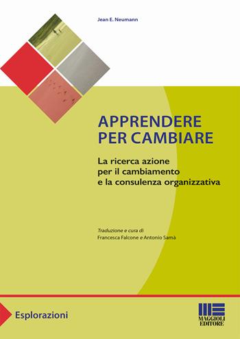 Apprendere per cambiare - Jean E. Neumann - Libro Maggioli Editore 2017, Sociale & sanità | Libraccio.it