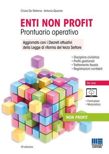 Enti non profit. Prontuario operativo. Con Contenuto digitale per accesso online - Cinzia De Stefanis, Antonio Quercia - Libro Maggioli Editore 2017, Non profit | Libraccio.it