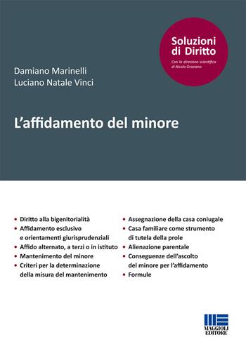 L' affidamento del minore - Damiano Marinelli, Luciano Natale Vinci - Libro Maggioli Editore 2017, Soluzioni di diritto | Libraccio.it