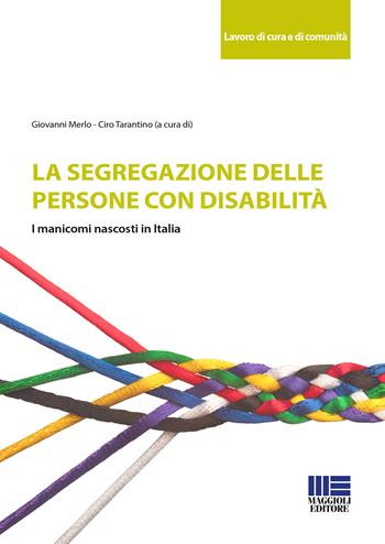 La segregazione delle persone con disabilità. I manicomi nascosti in Italia  - Libro Maggioli Editore 2018, Sociale & sanità | Libraccio.it
